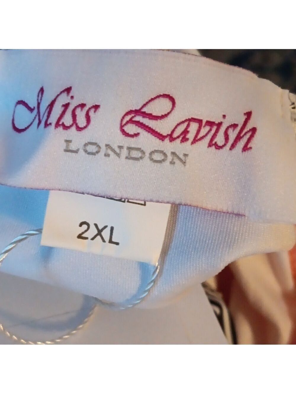 Miss Lavish London One Piece Swimsuits High Leg, Tummy Control NWT Size XXL - Picture 8 of 9